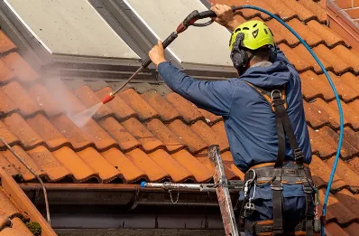 Démoussage et hydrofuge de toiture à Rochebaudin